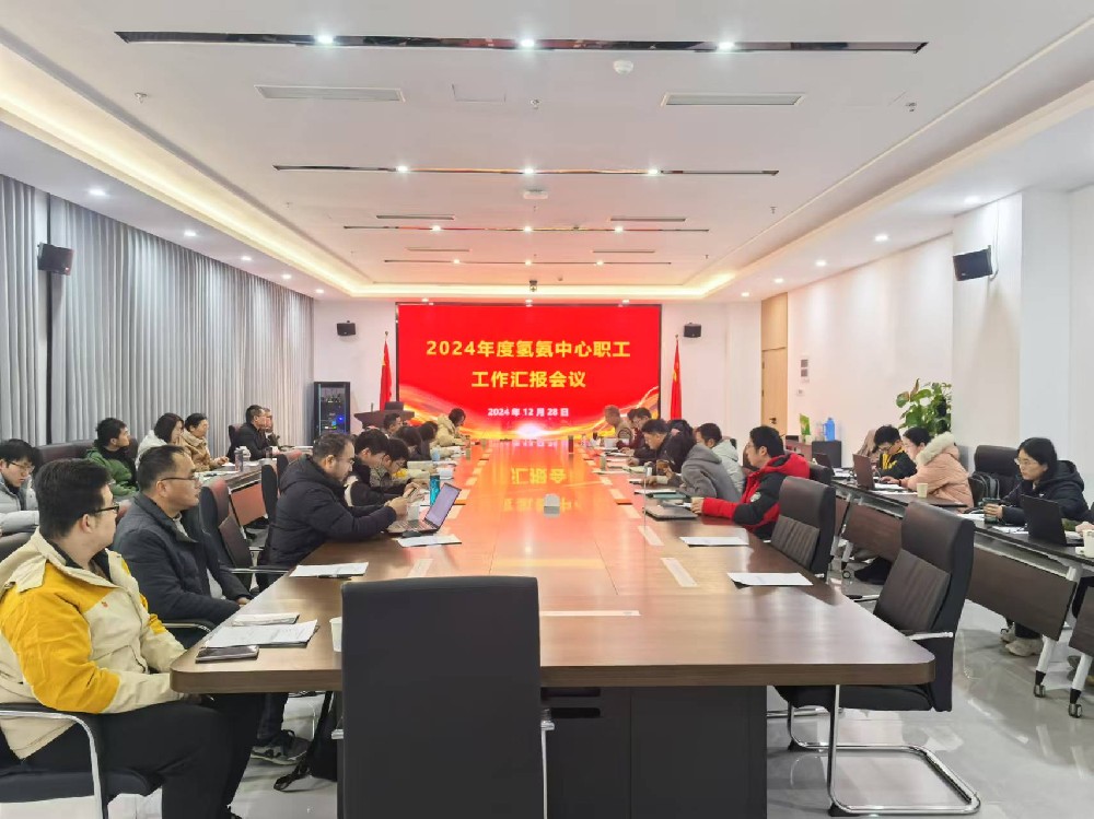 2024年度氢氨中心职工工作汇报会议顺利召开